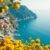 Ultimate 7-Day Amalfi Coast Itinerary: Best Time to Visit and Top Places to Stay